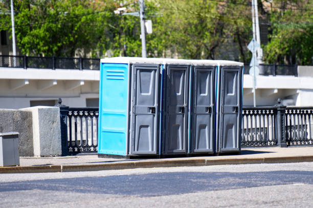 Best Portable Toilets for Parks and Recreation Areas  in Somerset, WI